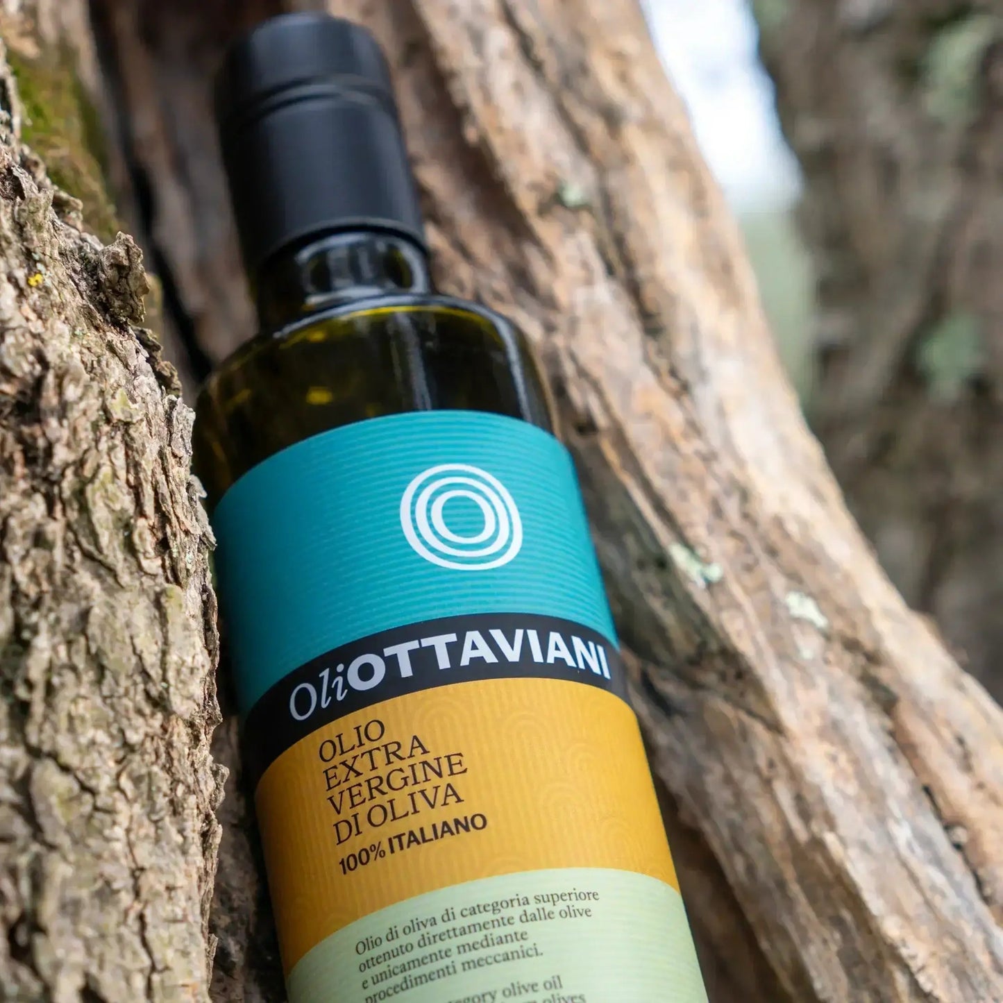 Olio Extravergine di Oliva – Set 3 Bottiglie da 500ml