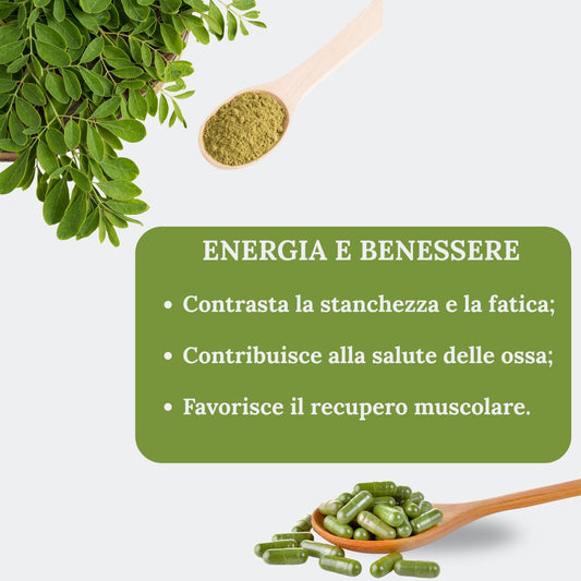 Moringa Oleifera Bio en Cápsulas | 50 Cápsulas