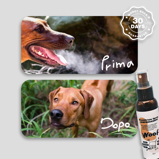 Pasta de dientes en spray refrescante