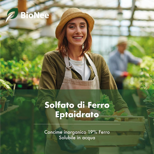 Solfato di Ferro Eptaidrato 1kg – Concime Inorganico 19% Ferro Solubile in Acqua – Rinverdente per Clorosi Ferrica – Uso in Agricoltura Biologica
