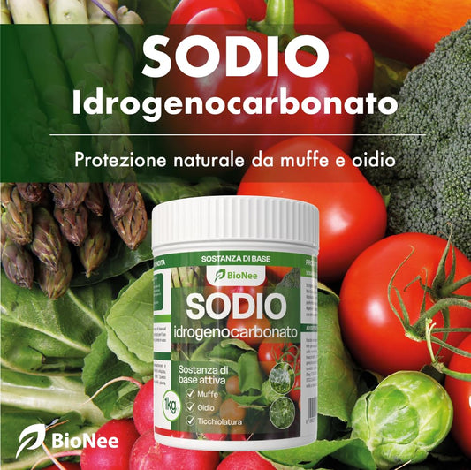 Bicarbonate de Sodium Bionee 1kg | Bicarbonate de Sodium Pur | Fongicide Naturel pour Plantes | Moisissures, Oïdium, Tavelure | Produit en Vente Libre