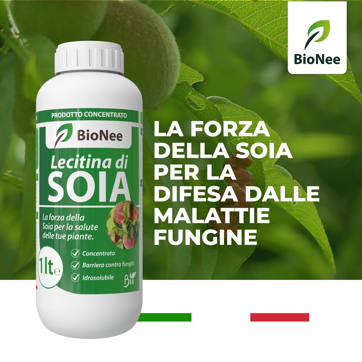 Lecitina di Soia 1L – Sostanza di Base Naturale | Concentrato Idrosolubile per Uso Agricolo | Barriera Protettiva contro Funghi | Per Piante da Frutto, Ortive e Ornamentali