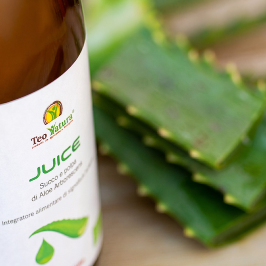 Aloe Arborescens Organic Juice | "JUICE" | 500 ml