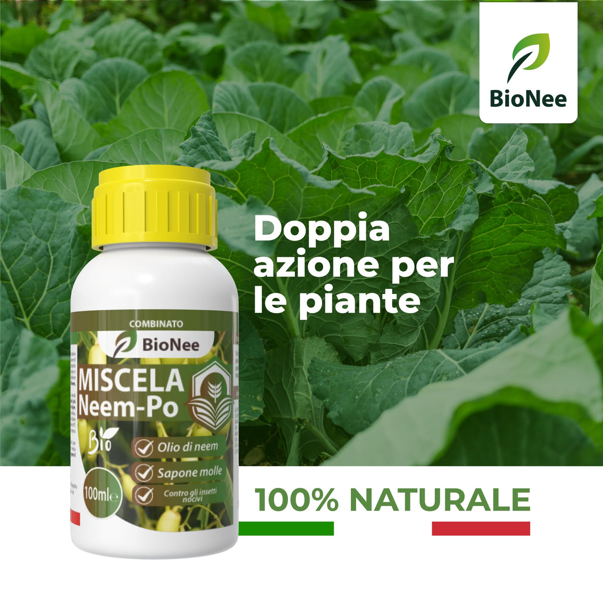 Miscela Neem-Po per Piante Biologico (100 ml) Olio di Neem + Sapone molle di potassio Solubile Ottimo Contro le Avversità Esterne di Orto, Prato e Giardino