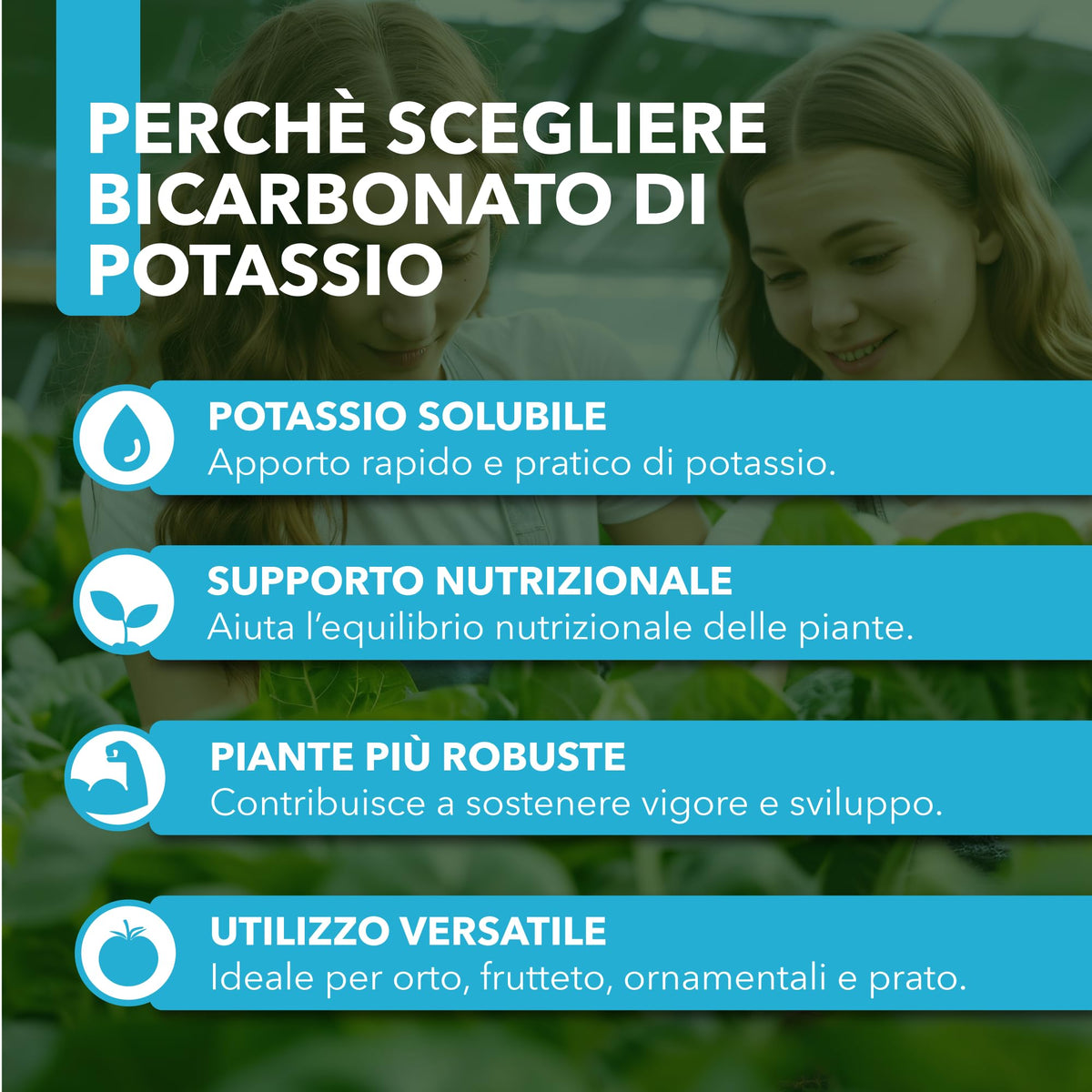 Bicarbonate de Potassium Pur - Engrais Antifongique pour Plantes, Potager et Arbres Fruitiers, Favorise la Croissance et la Santé Végétale - 1 kg - FBA