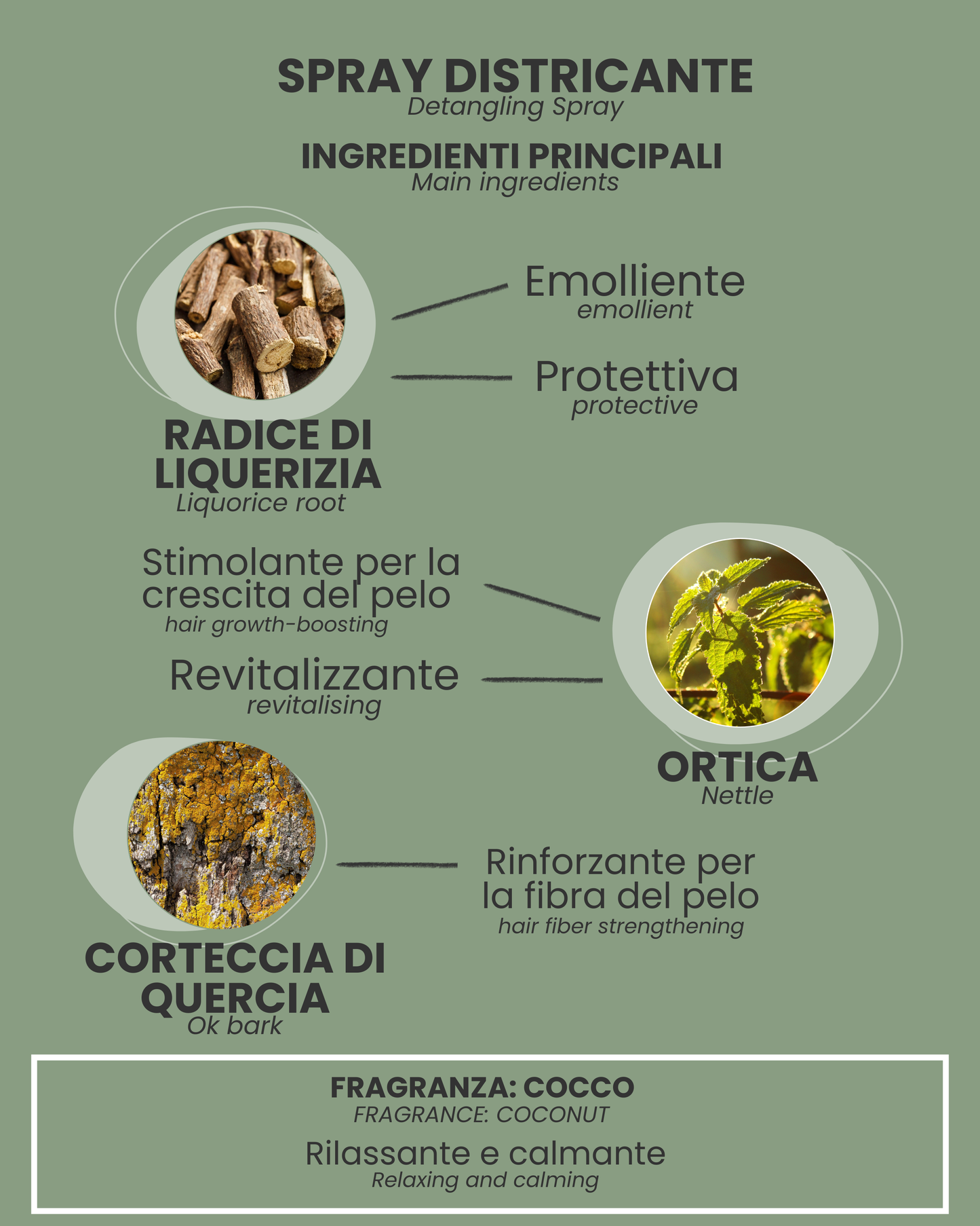 Spray Districante Senza Risciacquo per Cani e Gatti