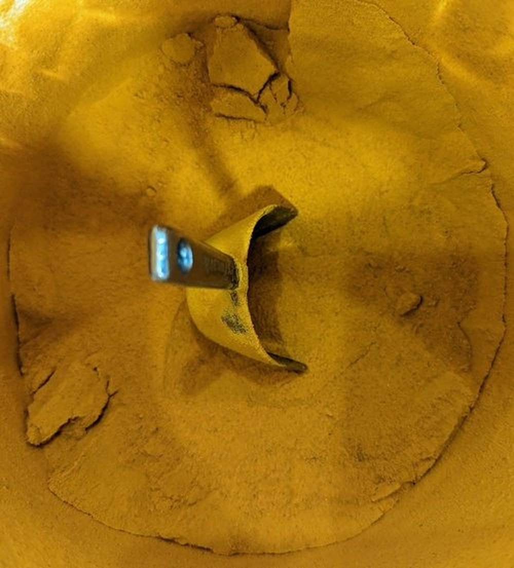 Curcuma Biologica Premium Bio-Steamed in polvere