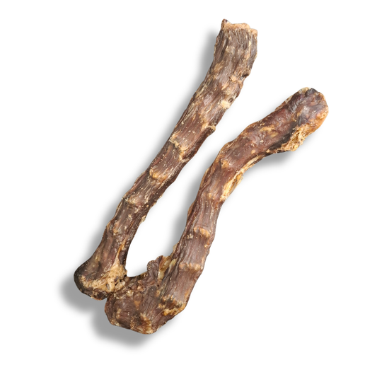 Entenhals – Natürlicher Kausnack für Hunde