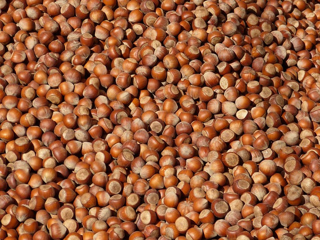 Biscoitos finos de Avelã Piemonte IGP: Crocantes, Finos, Sem Compromissos. Mais de 50% de Avelãs, Zero Glúten