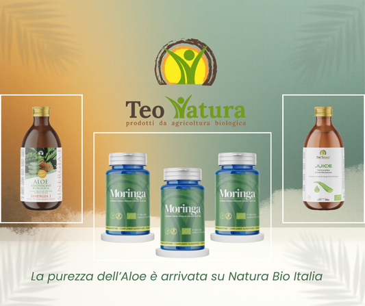 Teo Natura: l'eccellenza dell'Aloe Arborescens Siciliana