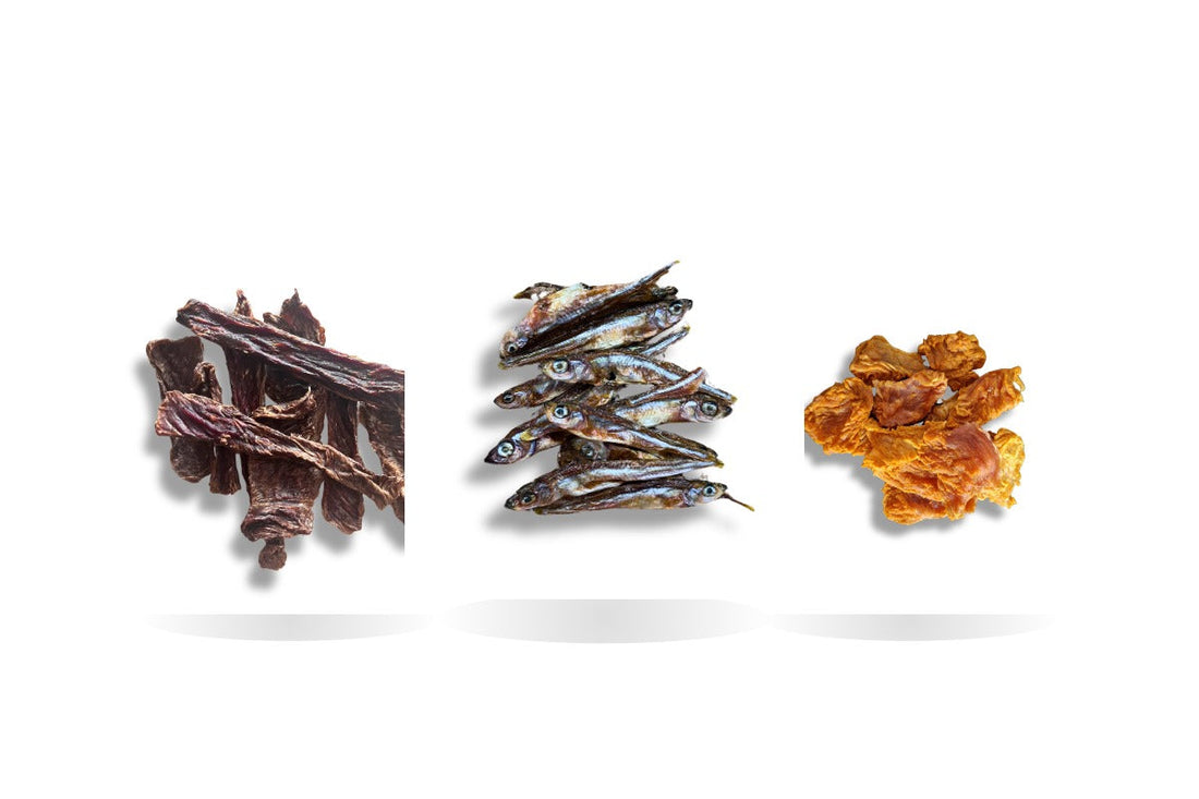 Cover Bisky Pet: snack naturali di manzo, pesce e tacchino per cani e gatti