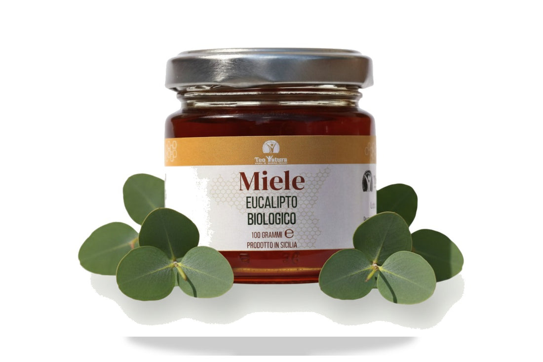 Vasetto di miele di eucalipto biologico siciliano su sfondo bianco