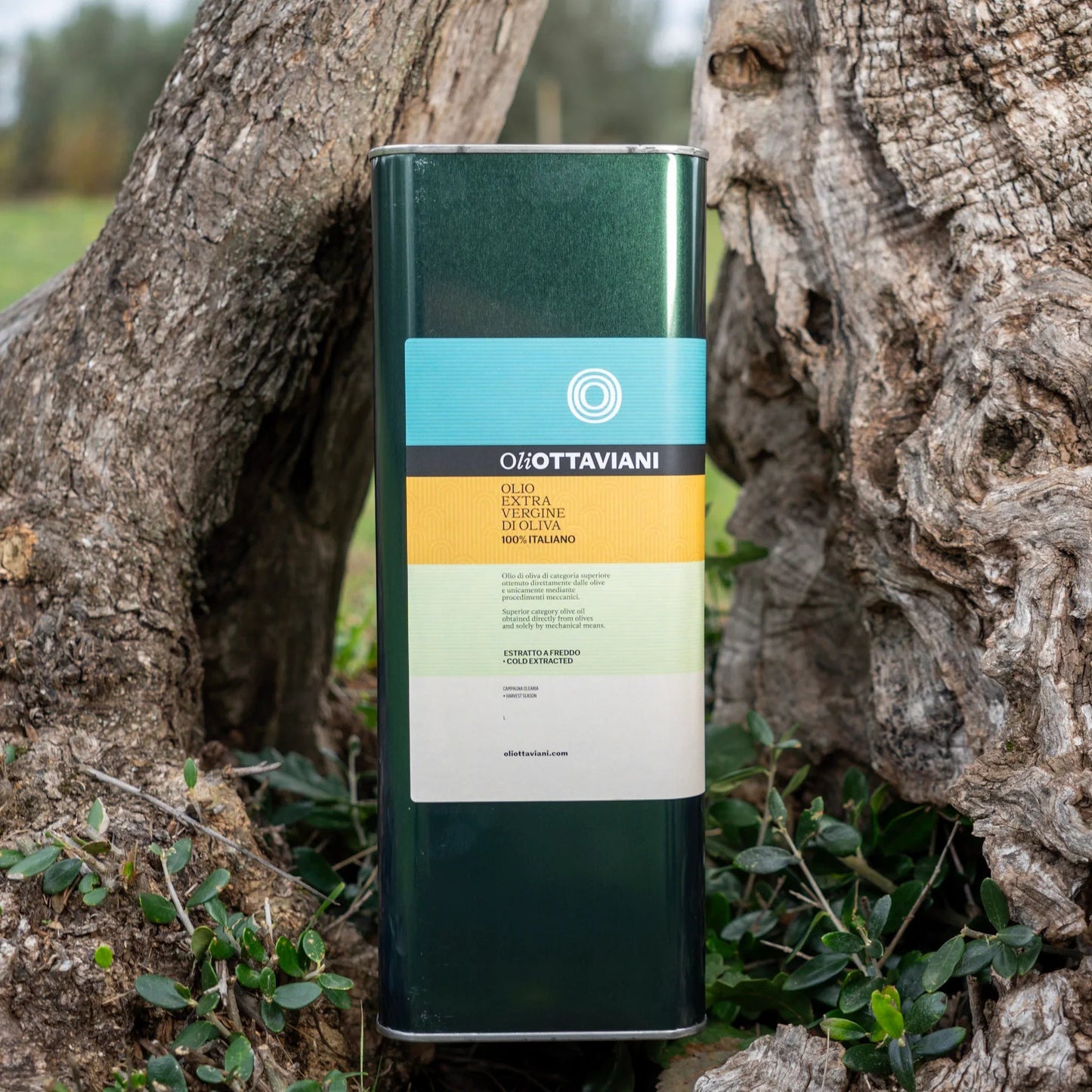 Olio Extravergine di Oliva in Lattina – Set 2×3L / 2×5L