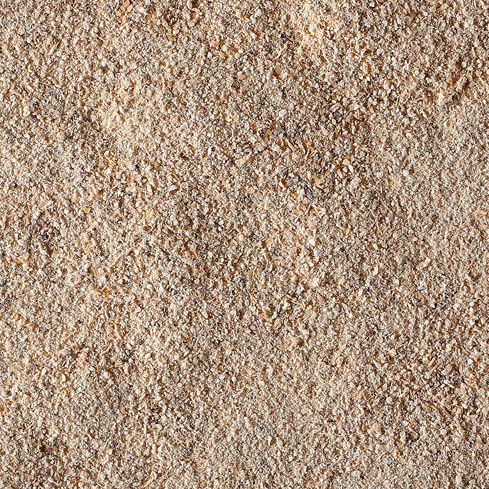 100% Fungo Lion's Mane en poudre BIO - 100g
