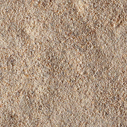 100% Fungo Lion's Mane en poudre BIO - 100g