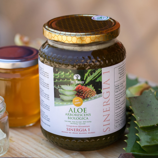 Aloe Arborescens Padre Zago | SINERGIA 1 | 750ml - Original Organic Recipe