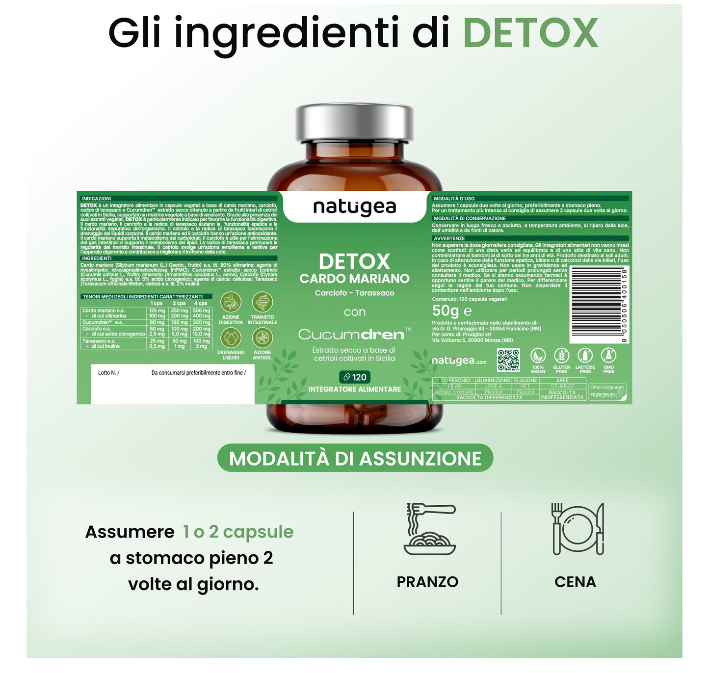 Desintoxicación de Hígado e Intestino con Cardo Mariano y Cucumdren®