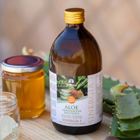 Aloe Arborescens Ricetta Padre Zago Con Succo D'Agave | SINERGIA 3 | 500ml