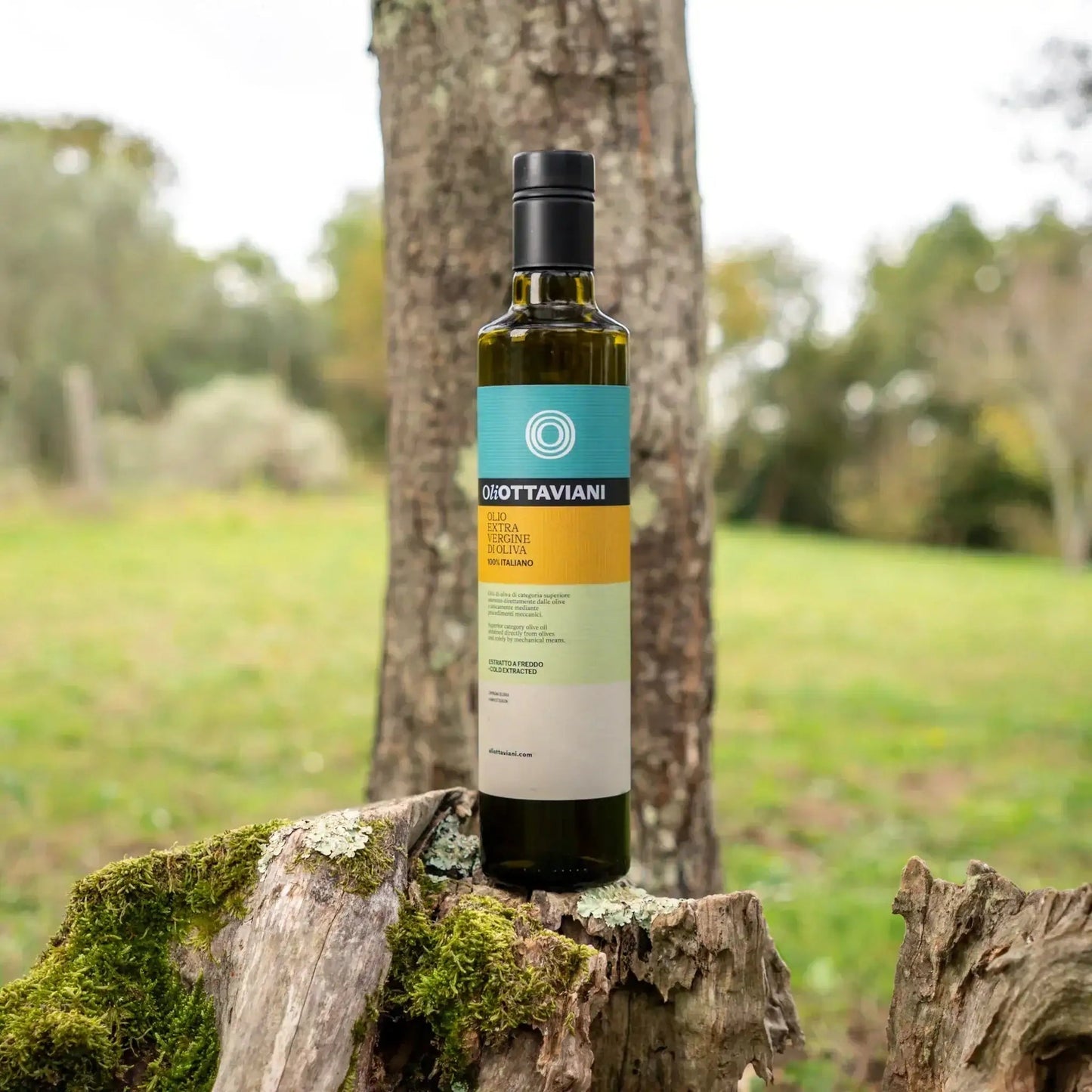 Olio Extravergine di Oliva – Set 3 Bottiglie da 500ml