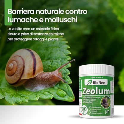 Zeolum – Barrière Naturelle à Base de Zéolite pour Potager et Jardin | Renfort Anti-Limaces pour Usage Amateur | Poudre Sèche ou Pulvérisée | Agriculture Biologique