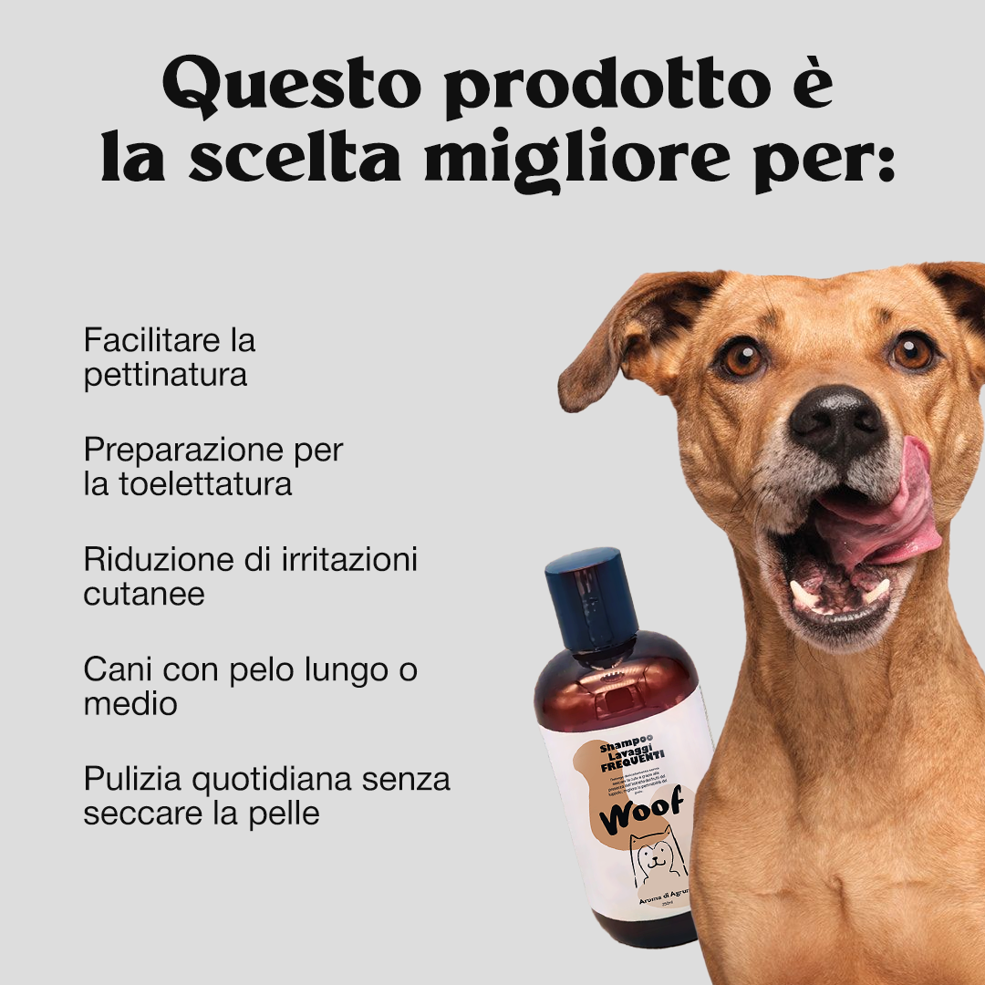 Frequent Wash Shampoo