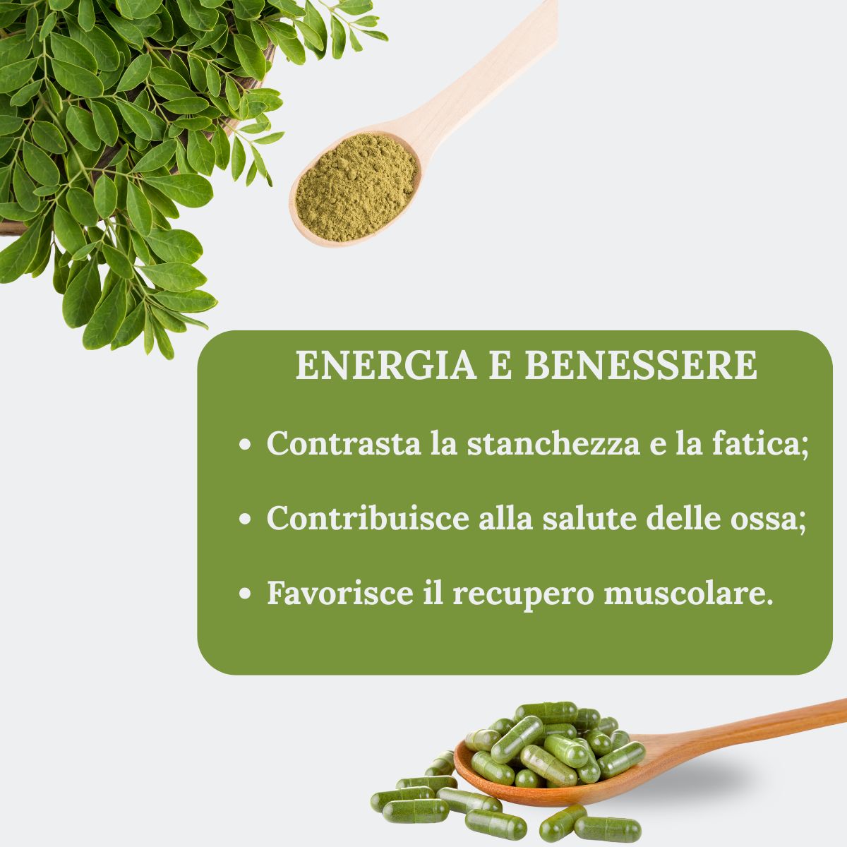 Moringa Oleifera Bio en Cápsulas | 50 Cápsulas
