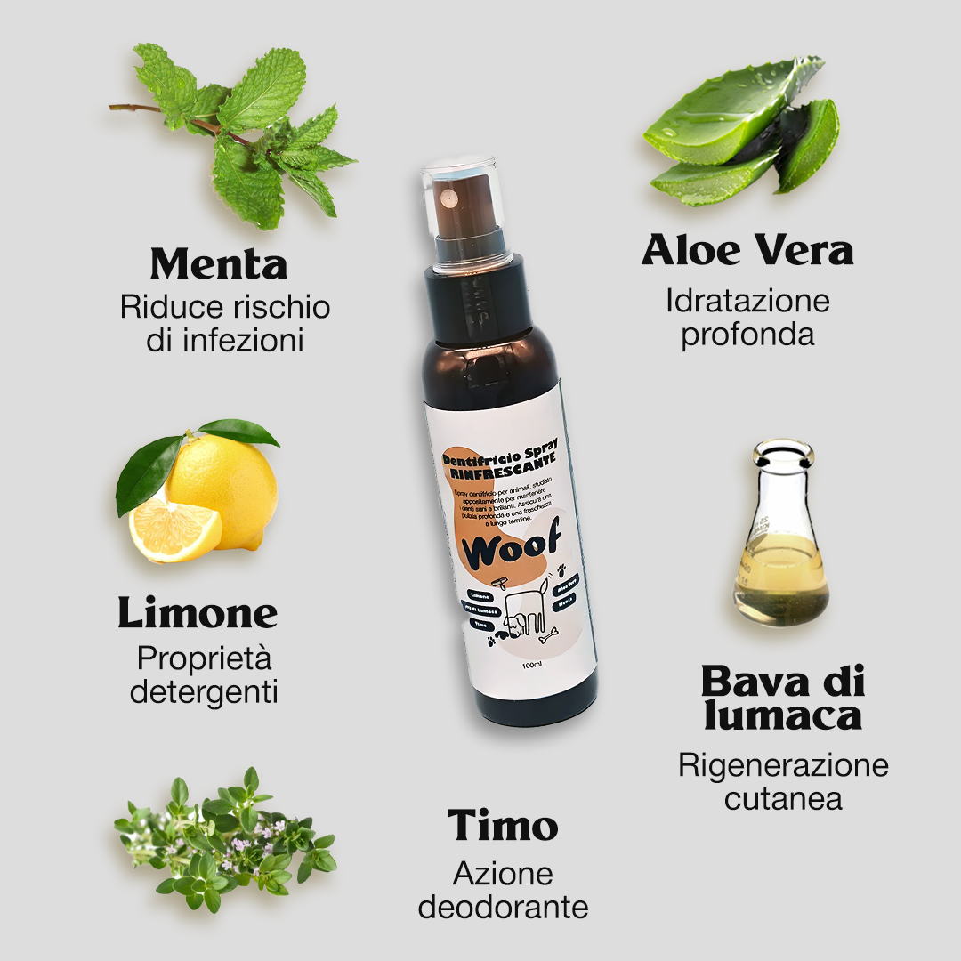 Refreshing Spray Toothpaste