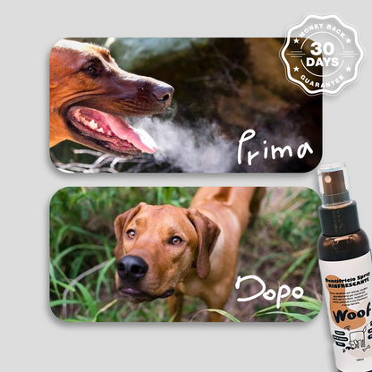 Refreshing Spray Toothpaste