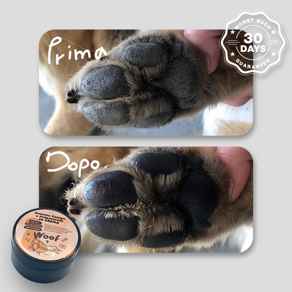 Paw and Pad Ointment in Cream