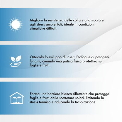 Caolino Flow in sospensione corroborante potenziatore difese naturali MOSCA DELL'OLIVO (5 L)
