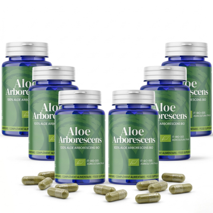 Aloe Arborescens in Capsules | 50 Capsules