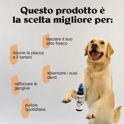 Refreshing Spray Toothpaste