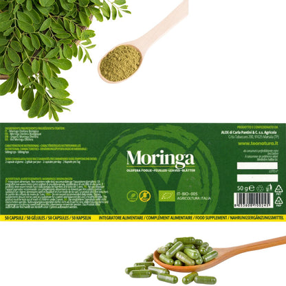 Moringa Oleifera Bio en Cápsulas | 50 Cápsulas