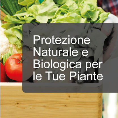 Olio di Neem - insetticida naturale biologico solubile in acqua (1 litro) + Sapone Molle di Potassio (1 litro)