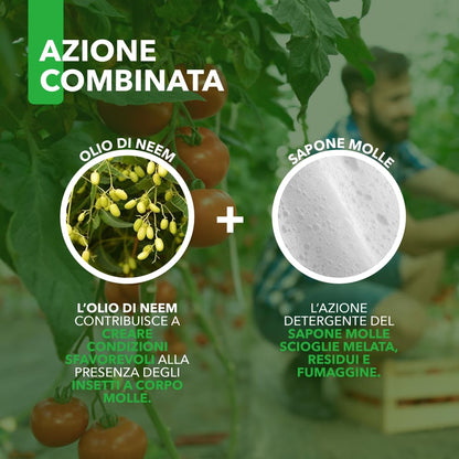 Combi Spray 500 ml | Con Olio di Neem e Sapone Molle | Naturale e Pronto all’Uso | Anti-Afidi, Cocciniglie e Fumaggine | Protegge e Pulisce le Piante