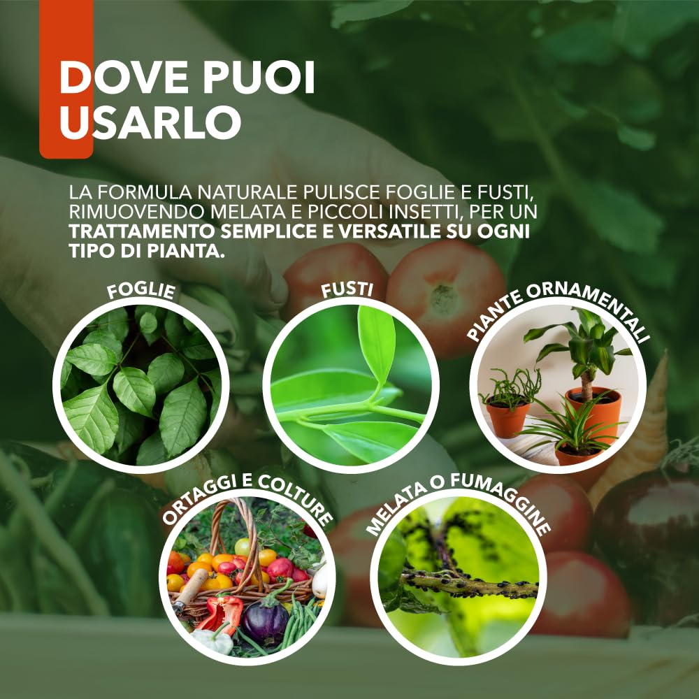 Sapone Molle Potassico Spray 500 ml – Insetticida Naturale per Piante, Afidi, Cocciniglia, Effetto Corroborante e Lava Melata