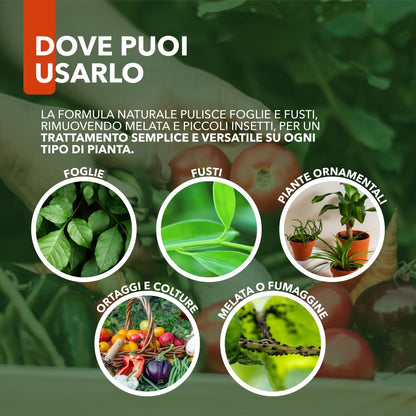Sapone Molle Potassico Spray 500 ml – Insetticida Naturale per Piante, Afidi, Cocciniglia, Effetto Corroborante e Lava Melata