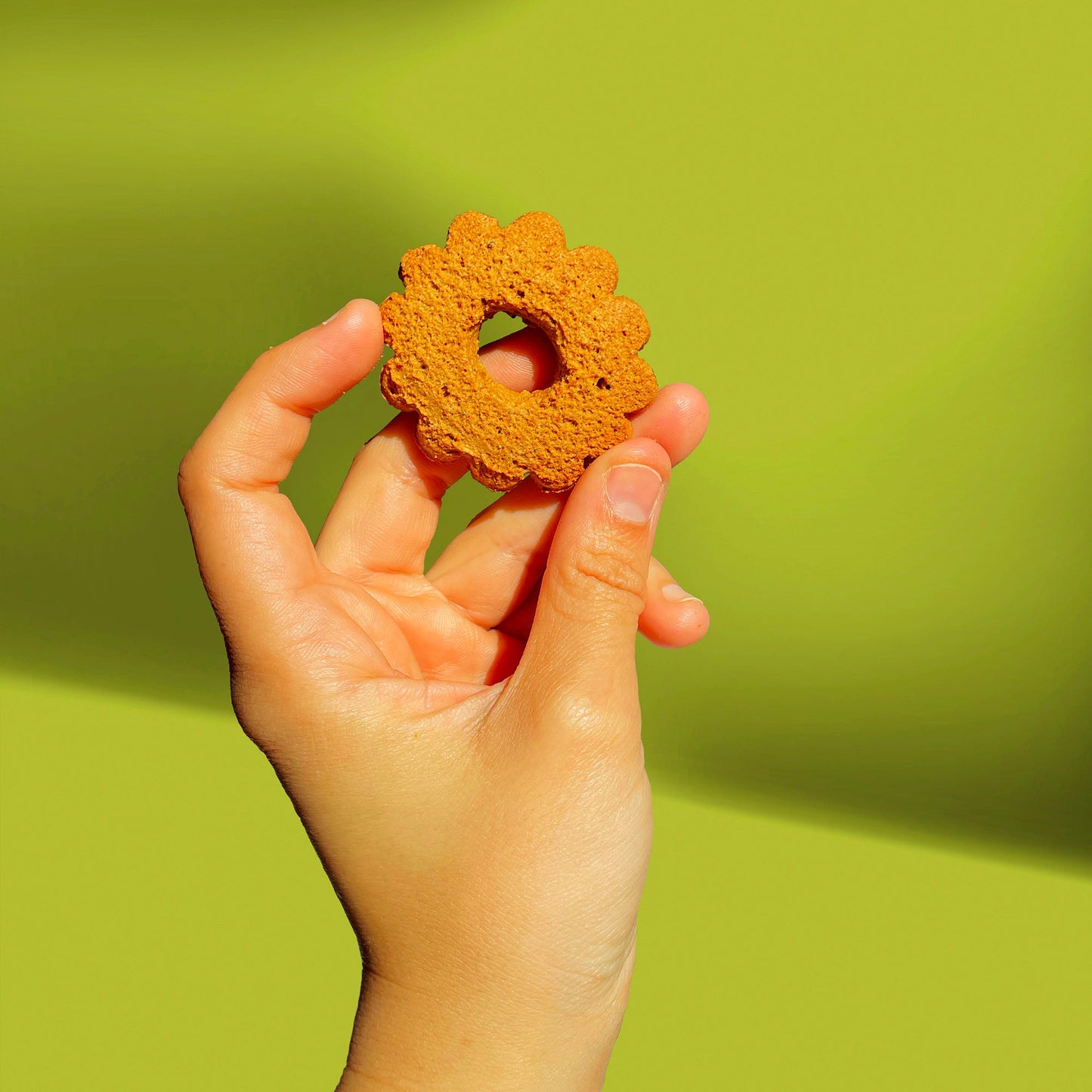 Biscotti senza Glutine alle Nocciole e Farina di Ceci BIO 200g