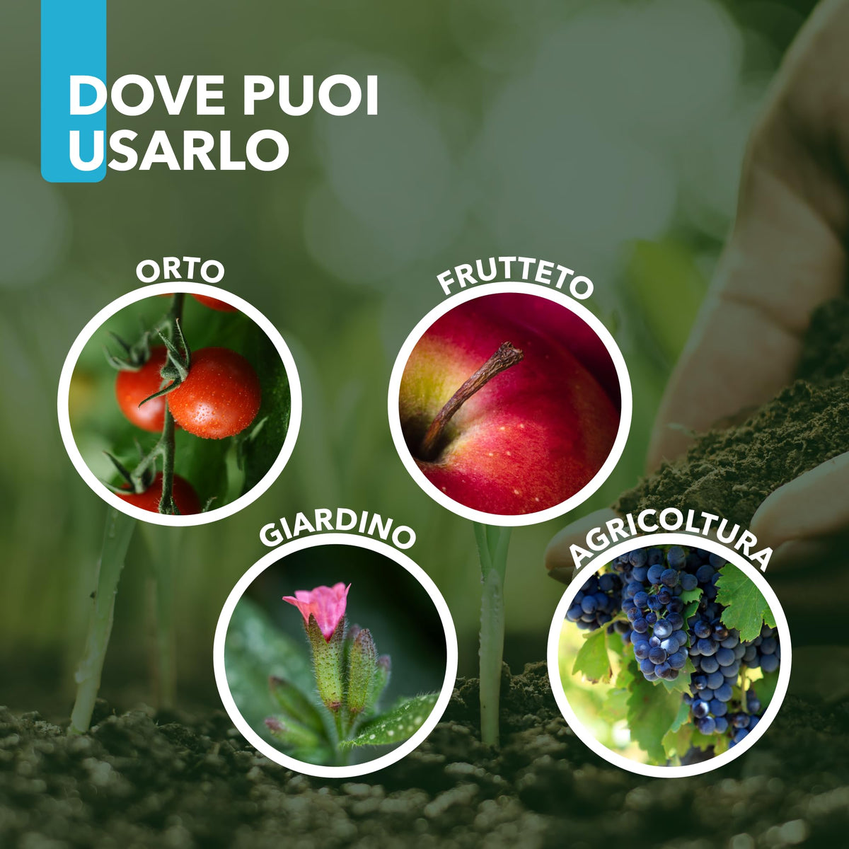 Bicarbonato di Potassio Bio per Agricoltura Naturale e Piante – KPower 500 gr | Contro Oidio, Muffa Grigia, Peronospora, Monilia, Ticchiolatura, Bolla del Pesco, Marciume