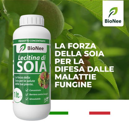 Lecitina di Soia 1L – Sostanza di Base Naturale | Concentrato Idrosolubile per Uso Agricolo | Barriera Protettiva contro Funghi | Per Piante da Frutto, Ortive e Ornamentali