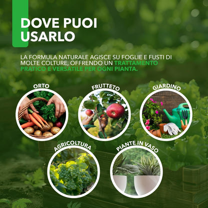 Combi Spray 500 ml | Con Olio di Neem e Sapone Molle | Naturale e Pronto all’Uso | Anti-Afidi, Cocciniglie e Fumaggine | Protegge e Pulisce le Piante
