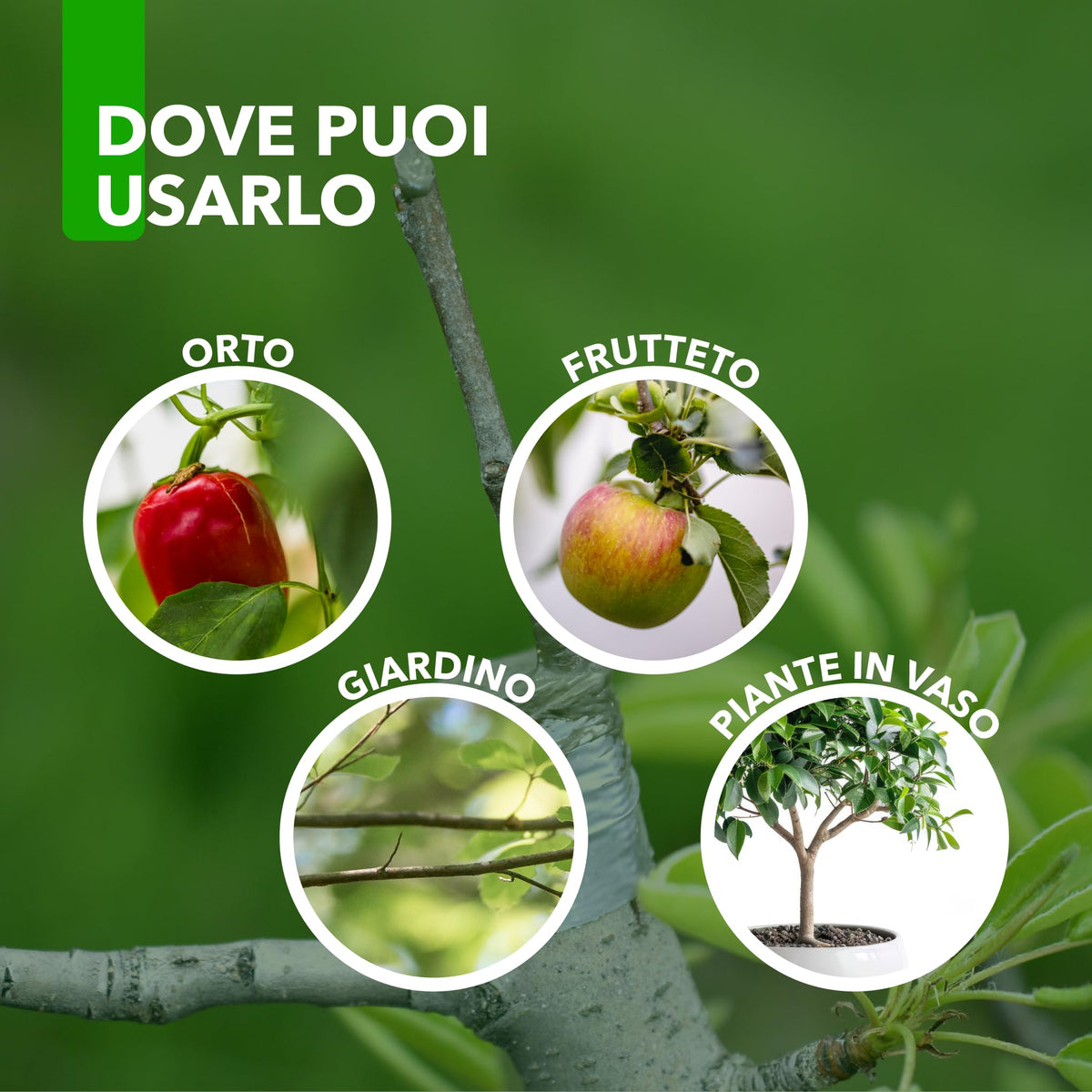 Mastice Per Innesti E Potature - Con Rame - Antibatterico Pasta Cicatrizzante Curativa Per Ferite Piante Alberi Arbusti (500 gr)