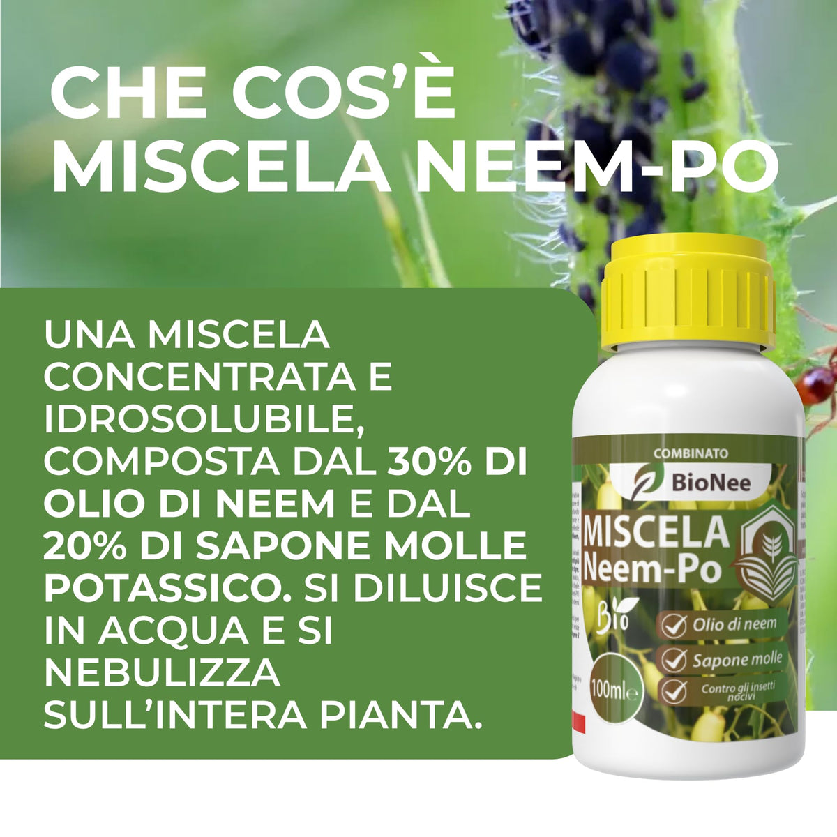 Miscela Neem-Po per Piante Biologico (100 ml) Olio di Neem + Sapone molle di potassio Solubile Ottimo Contro le Avversità Esterne di Orto, Prato e Giardino