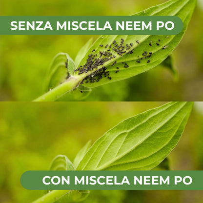 Miscela Neem-Po per Piante Biologico (100 ml) Olio di Neem + Sapone molle di potassio Solubile Ottimo Contro le Avversità Esterne di Orto, Prato e Giardino