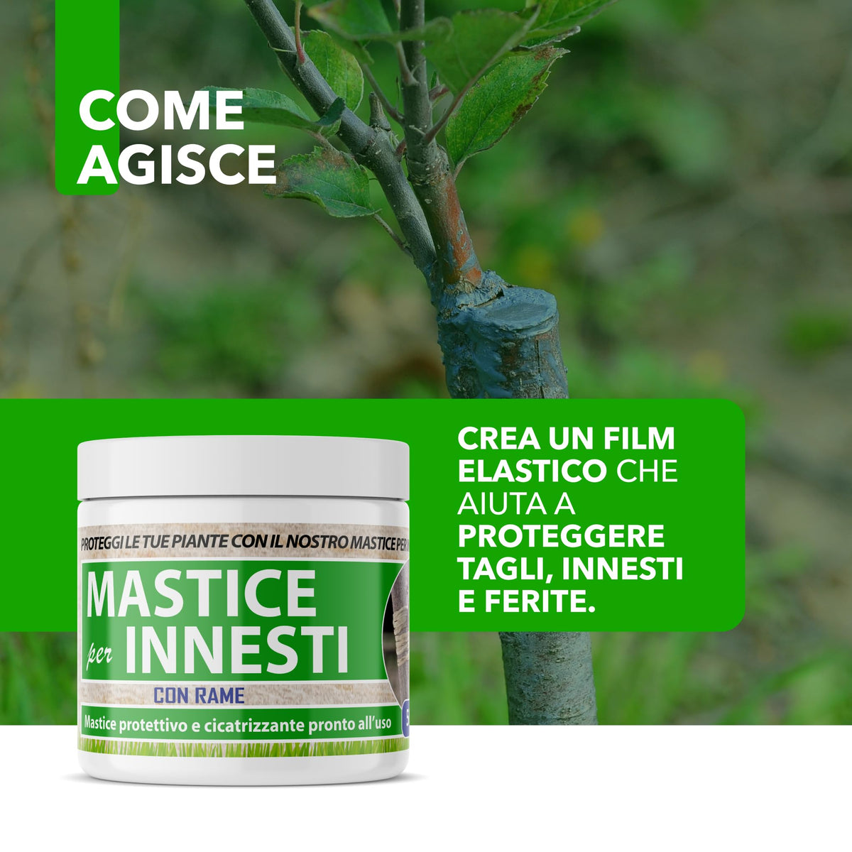 Mastice Per Innesti E Potature - Con Rame - Antibatterico Pasta Cicatrizzante Curativa Per Ferite Piante Alberi Arbusti (500 gr)