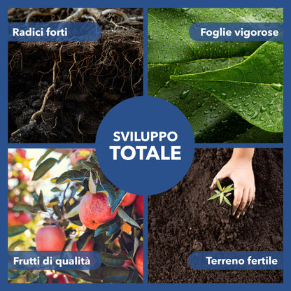 Solfato di Rame | Concime Inorganico Puro 98/99% | Rame Solubile 25% | Uso Agricolo e Biologico | Residuo Zero | Rame Pentaidrato per Orto e Giardino 1 kg
