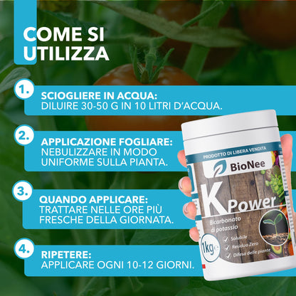 Bicarbonate de Potassium Pur - Engrais Antifongique pour Plantes, Potager et Arbres Fruitiers, Favorise la Croissance et la Santé Végétale - 1 kg - FBA