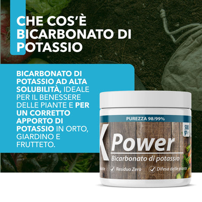 Bicarbonato di Potassio Bio per Agricoltura Naturale e Piante – KPower 500 gr | Contro Oidio, Muffa Grigia, Peronospora, Monilia, Ticchiolatura, Bolla del Pesco, Marciume