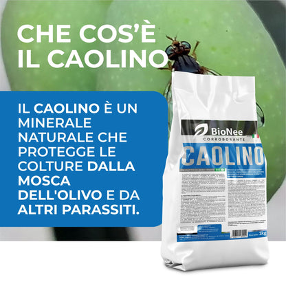 Bionee - Caolino corroborante potenziatore difese naturali MOSCA DELL'OLIVO 25 kg