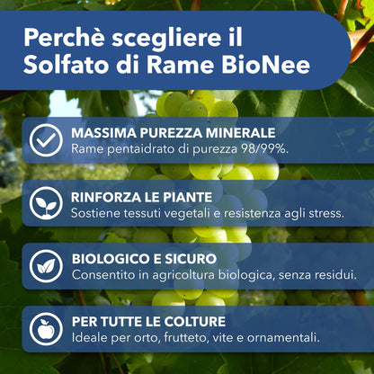 Solfato di Rame | Concime Inorganico Puro 98/99% | Rame Solubile 25% | Uso Agricolo e Biologico | Residuo Zero | Rame Pentaidrato per Orto e Giardino 1 kg